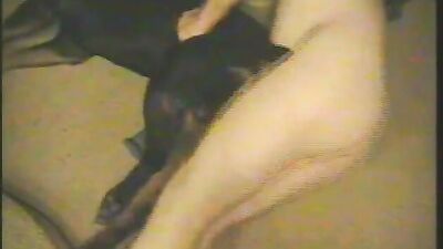Zoophilia porno: animal pussy sex
