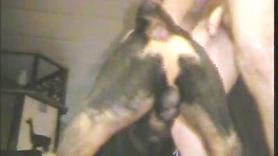 Dog girl 1: bestiality porn movies