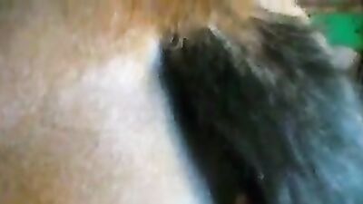 Dog girl porn: teen girl dog porn