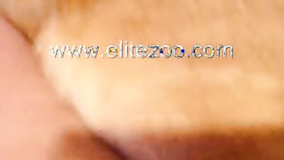 Dog licking girl: telegram sex 18 dog xxx
