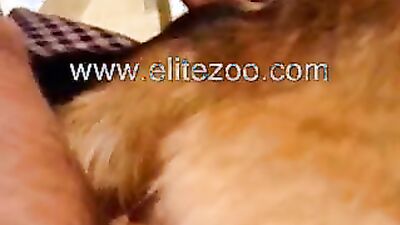 Dog licking girl: telegram sex 18 dog xxx