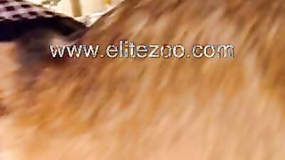 Dog licking girl: telegram sex 18 dog xxx