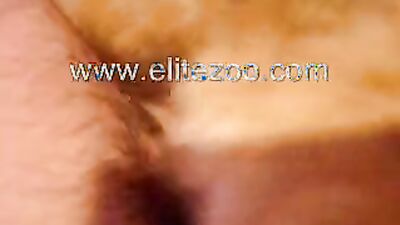 Dog licking girl: telegram sex 18 dog xxx