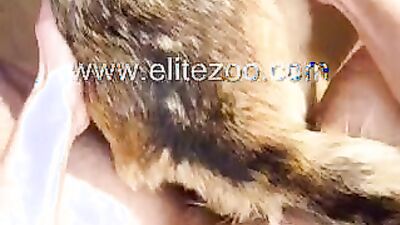 Zoo sex porn: dog mouth porn