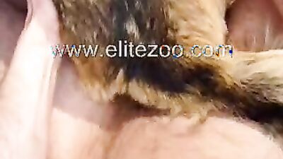Zoo sex porn: dog mouth porn