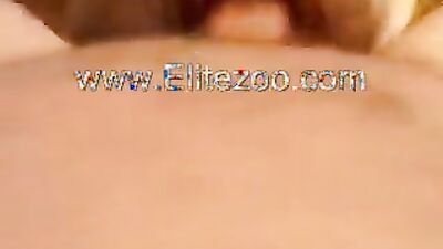 Zoo fuck porn: zoo porn dog licking pussy