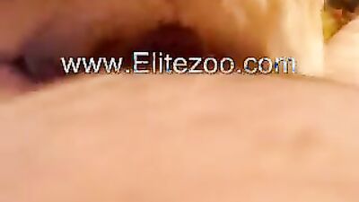 Zoo fuck porn: zoo porn dog licking pussy
