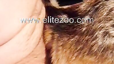 Girls 5 dogs: rus bestiality