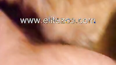 Girls 5 dogs: rus bestiality