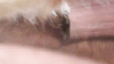 Zoophilia: sex animal fucking