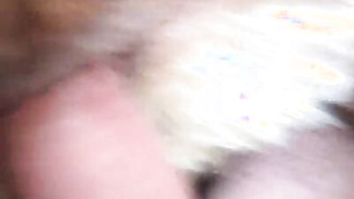 Zoophilia: sex animal fucking