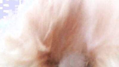 Zoophilia: sex animal fucking