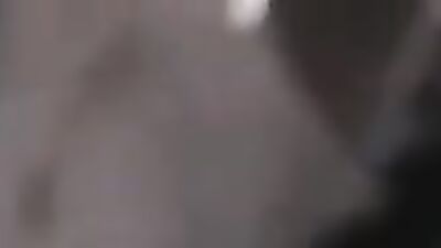 Dog lick girl: human and animal sex