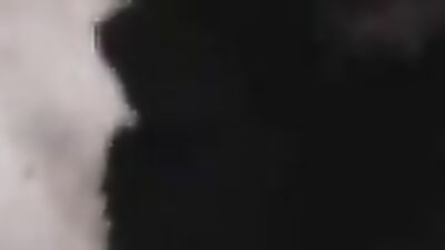 Dog lick girl: human and animal sex