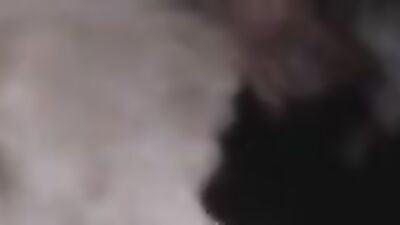 Dog lick girl: human and animal sex