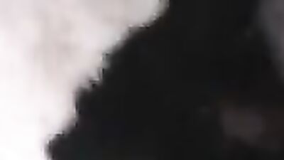 Dog lick girl: human and animal sex