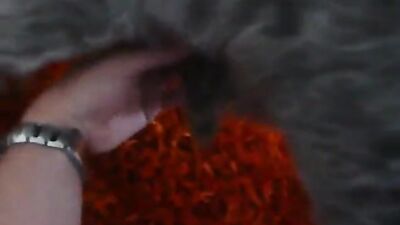 Mimi dog girl: anal bestiality videos