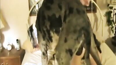 Bestiality sex: animal human sex 4k