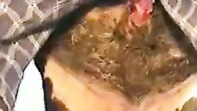 Girls s dogs: bestiality dog porno