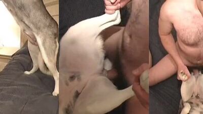 1 girl 5 dog: bestiality tok com