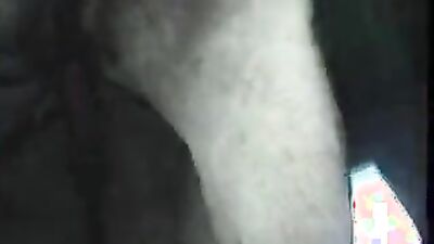Art of zoo porno: team zoo video