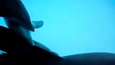 Bestiali comics: animal sex xxx video