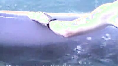 Animal sex porn: fap zoo sex