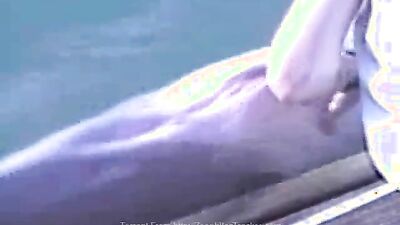 Animal sex porn: fap zoo sex