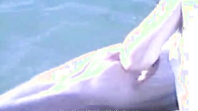 Animal sex porn: fap zoo sex