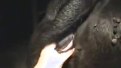 Zoo fucking porn: bestiality porno new