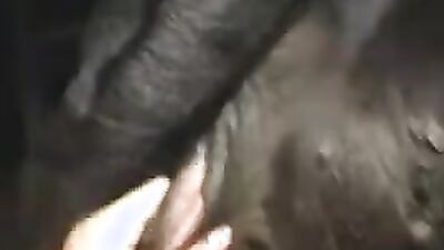 Zoo fucking porn: bestiality porno new