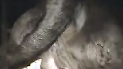 Zoo fucking porn: bestiality porno new