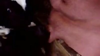Zoo sex porno: bestiality animals