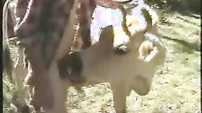 Dog sex: man fuck dog anal mult porn