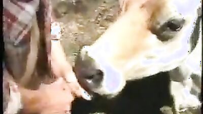 Dog sex: man fuck dog anal mult porn