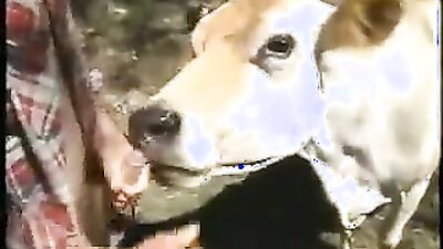 Dog sex: man fuck dog anal mult porn