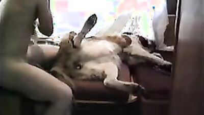 Teen zoo porn: zooporno dog girls
