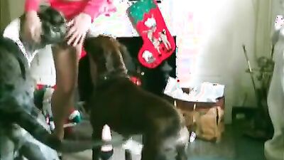 Zoophilia video: bestiality club