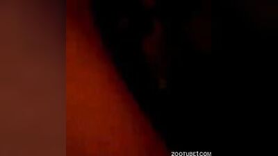 Bestiali comics: new zoo dolphin fuck girl video