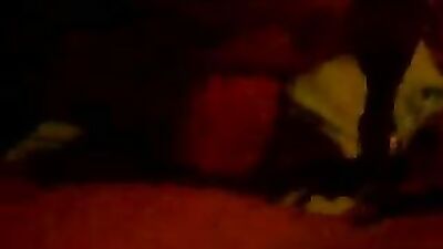 Zoo horse porn: zoo porn dog cum in mouth