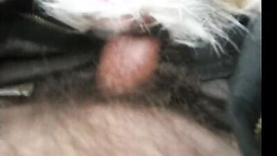 Dog pussy girls: zoo sex blondes