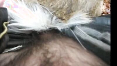 Dog pussy girls: zoo sex blondes