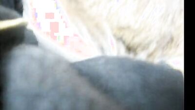 Dog pussy girls: zoo sex blondes
