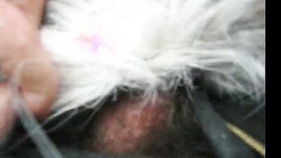 Dog sex porn: amatör zoo porn