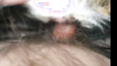Dog sex porn: amatör zoo porn