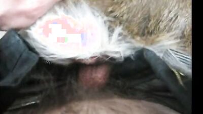 Dog sex porn: amatör zoo porn