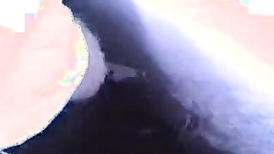 Art of zoo porno: zooporno dog creampie sex girls
