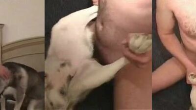 Zoo dog sex: dog sex zoo 2026