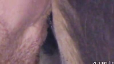 Zoo fuck porn: silvia dog sex