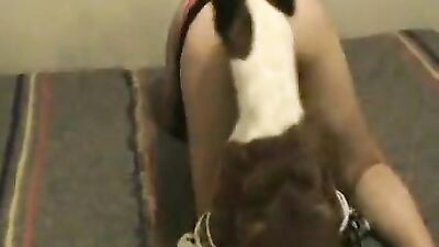 Dog sex: girl licking ass dog